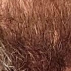 Glick y Nathalie anunciaron la noticia en sus cuentas de Instagram.