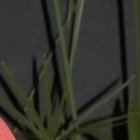 Conny Garcés, actualmente labora en Ecuavisa.