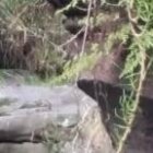 Los socorristas realizaron varias maniobras para sacar los cuerpos del río.