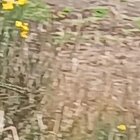 Cerca de medio centenar de deportistas llegaron a la provincia de Cañar.