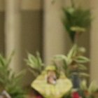 Previo a este domingo se hicieron campañas para que se elaboren ramos con elementos alternativos a la palma de cera.