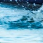 Remeros de la yola de Astillero-Cleveland durante una de sus últimas prácticas previo a la edición 85 de la competencia.