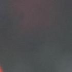 Luis Zubeldía ganó la Copa Sudamericana 2023 con Liga de Quito.