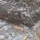 Miembros del Grupo de Operaciones Especiales, con canes amaestrados y bomberos de Pallatanga buscan a la joven.