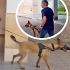 La llegada de Ariel Holan a Guayaquil con su mascota Pocho.