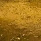 Diversos grupos de agentes de la Policía y Fiscalía se desplazaron en Santa Elena, en dos cantones del Guayas y en los localidades de Los Ríos.