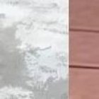 Así lucían los perros de raza chow chow