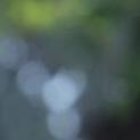 El presidente de Irán está desaparecido tras accidente aéreo.