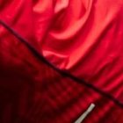 os jugadores suplentes entrenaron bajo la supervisión del técnico Ariel Holan.