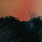 Usando información de la familia habrían intimidado al expendedor de mariscos.