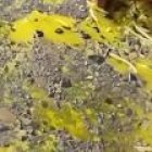 Funcionario de Arcsa colocando el adhesivo de clausura en el establecimiento