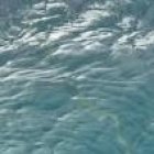 El actor tenía 49 años de edad y era salvavidas