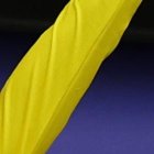 La Locomotora del Carchi en lo alto del podio de la clasificación del Tour de Francia 2024.