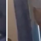 Secuencia del video que muestra a la ‘parejita’ darse cariño en medio de la celda.