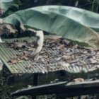 Enfrentamientos registrados durante la tarde del sábado y la mañana del domingo alarmaron a la población.