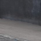 Poco antes del mediodía de este viernes, policías llegaron a los exteriores de la entrada principal del colegio para resguardar a los estudiantes.