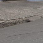 La víctima iba en un carro negro. Este lunes 12 de agosto, un día después del ataque, aún había vidrios rotos en el sitio.