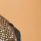 Ciro Quiñonez canta música popular colombiana desde hace tres años.