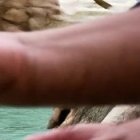 Arrojar monedas a la Fontana di Trevi ya no será gratis.