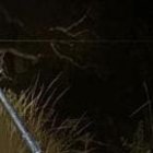 Tres personas fueron detenidas.