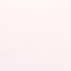 Gustavo Alfaro y la selección de Paraguay trabajando en Quito.