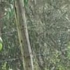 El cuerpo fue abandonado a un lado de la vía a Nono.