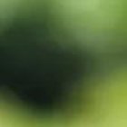 Usuarios han reportado una pésima señal en el servicio de telefonías.