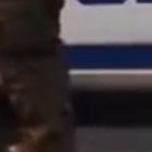 A Marlon Martínez lo trasladaron a una clínica, donde confirmaron su deceso.