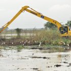 La maquinaria labora en la zona en riesgo ambiental.