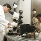 Peritos de Criminalística inspeccionarían los indicios recogidos en la escena del delito.