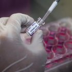 Se estima para principios del 2021 una vacuna que proteja a la población.