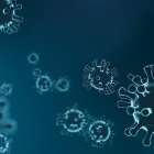 Según el reciente estudio, la vida acuática puede estar en peligro porque el COVID-19 bordea los 30 días de existencia en el agua.