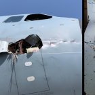 Imágenes en las que se aprecia cómo quedaron el avión y el ave tras el choque en pleno vuelo.