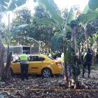 Los fallecidos fueron a parar a una plantación de palmeras.
