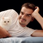 Las fotografías en las que aparecía un gato eran percibidas más tiernas, pero no atractivas sexualmente.