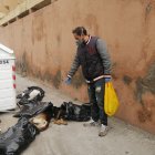 Desde la noche del domingo 28 de junio se reportó de los animales muertos.