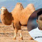 Jefferson Montero se va al fútbol de Medio Oriente.