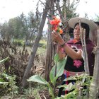 Gloria Chiliquinga sostiene entre sus manos una de las plantas tradicionales que utiliza para limpiar las malas energías del cuerpo.
