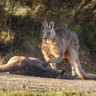Una imagen que ha hecho llorar a más de uno.