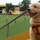 Coloso es la mascota del Ídolo del astillero.