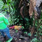 La mujer presentaba dos puñaladas en el costado izquierdo de su cuello.