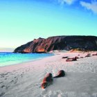 Galápagos enfrenta días difíciles. Su economía, basada en el turismo, está prácticamente 
paralizada. Sin visitantes 
no hay dinero.