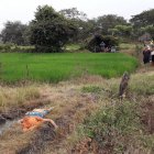 La madre fue encontrada sin vida al amanecer de este domingo 19 de julio de 2020.