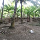 La caída mortal ocurrió la tarde de ayer miércoles 22 de julio, en el sitio Paquisha.