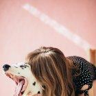  Referencial. Desde 1815 no se había producido ningún caso de muerte por la rabia en Noruega. 