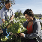  Los Presupuestos Participativos son un mecanismo de Participación Ciudadana contemplado en la Ordenanza Metropolitana  102. 