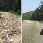  Varios usuarios en redes sociales han convertido en viral la etiqueta  #Trashtag que busca limpiar zonas contaminadas por basura.  