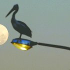  Hardesty fue arrestado el 15 de marzo en Maryland, donde reside, y extraditado a Florida para su proceso judicial. 