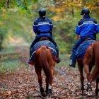  Referencial. La policía ha iniciado una investigación por homicidio involuntario por ataque canino.   