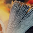  Imagen referencial. La composición microscópica del papel y el lugar de la incisión serían las piezas clave para comprender el porqué de este agudo malestar. 